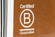 B Corp(B Corporation)