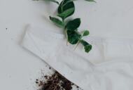 KENTの堆肥化可能な下着