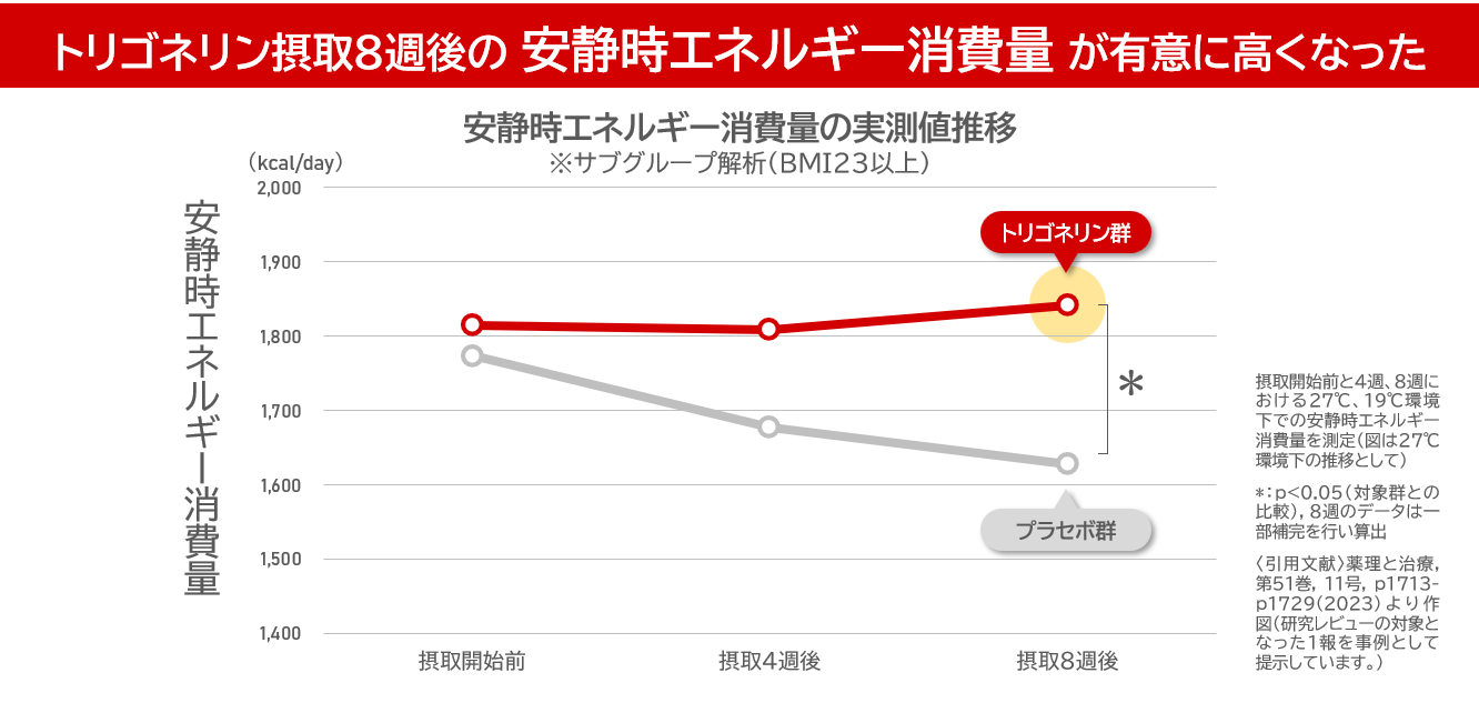 トリゴネリンによる安静時エネルギー消費量の増加